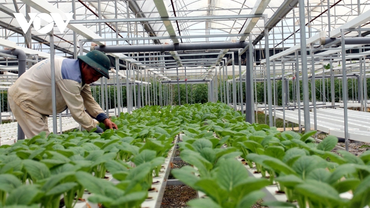 Agricultural sector to develop production in line with international standards